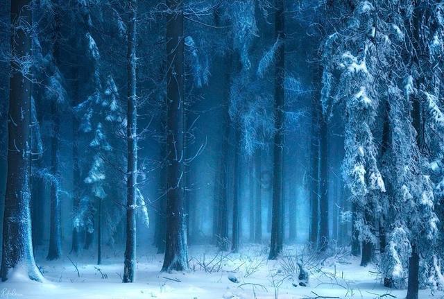 滑雪场上的“冰雪盛宴”